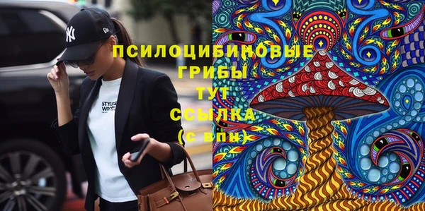mdpv Пролетарск