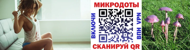 Псилоцибиновые грибы мухоморы Касли